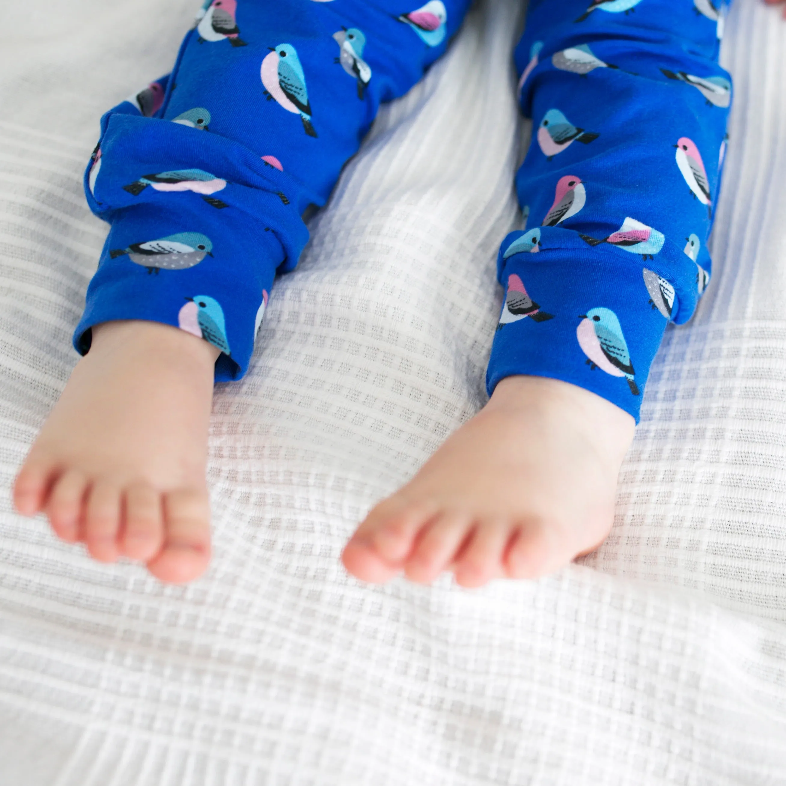 Blue Bird Print Leggings