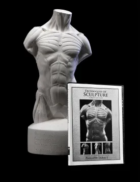 DVD #5 Torsos in Clay with Labeled Écorché Cast Set