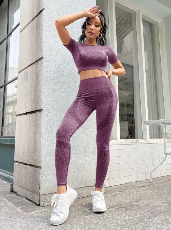 Gym Bunny Bella Mauve 2 Piece Short Sleeve Gym Set